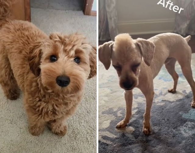 victoriacagle - фото 458149