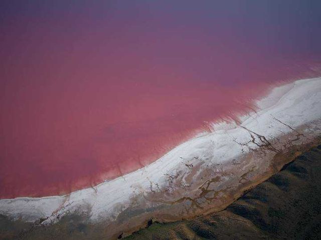 У мережі показали найкращі знімки квітня від Ukraїner - фото 458321