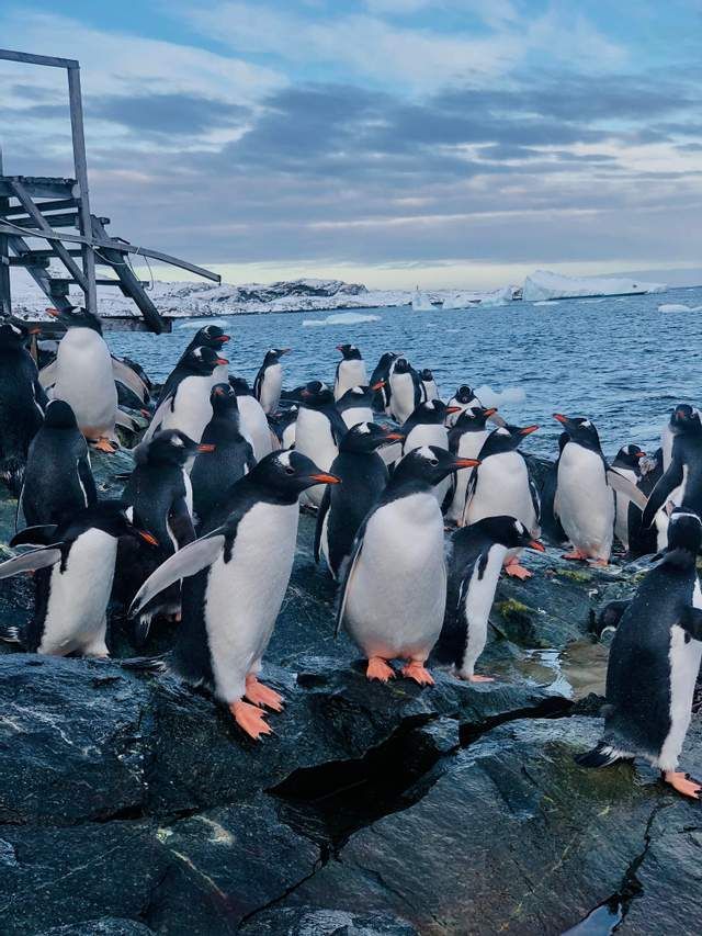 У мережі показали найкращі знімки квітня від Ukraїner - фото 458328