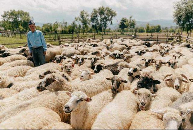 У мережі показали найкращі знімки квітня від Ukraїner - фото 458331