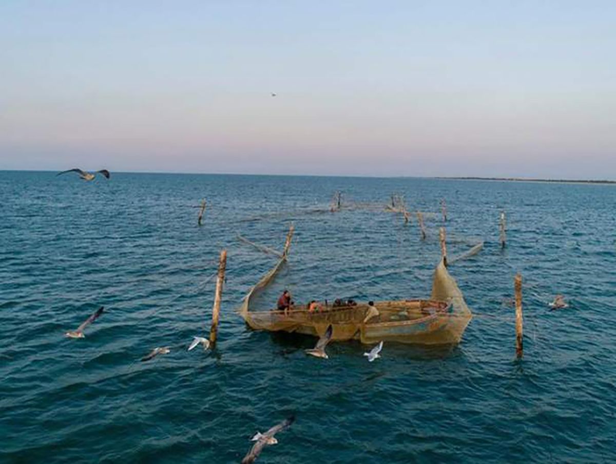 У мережі показали найкращі знімки квітня від Ukraїner