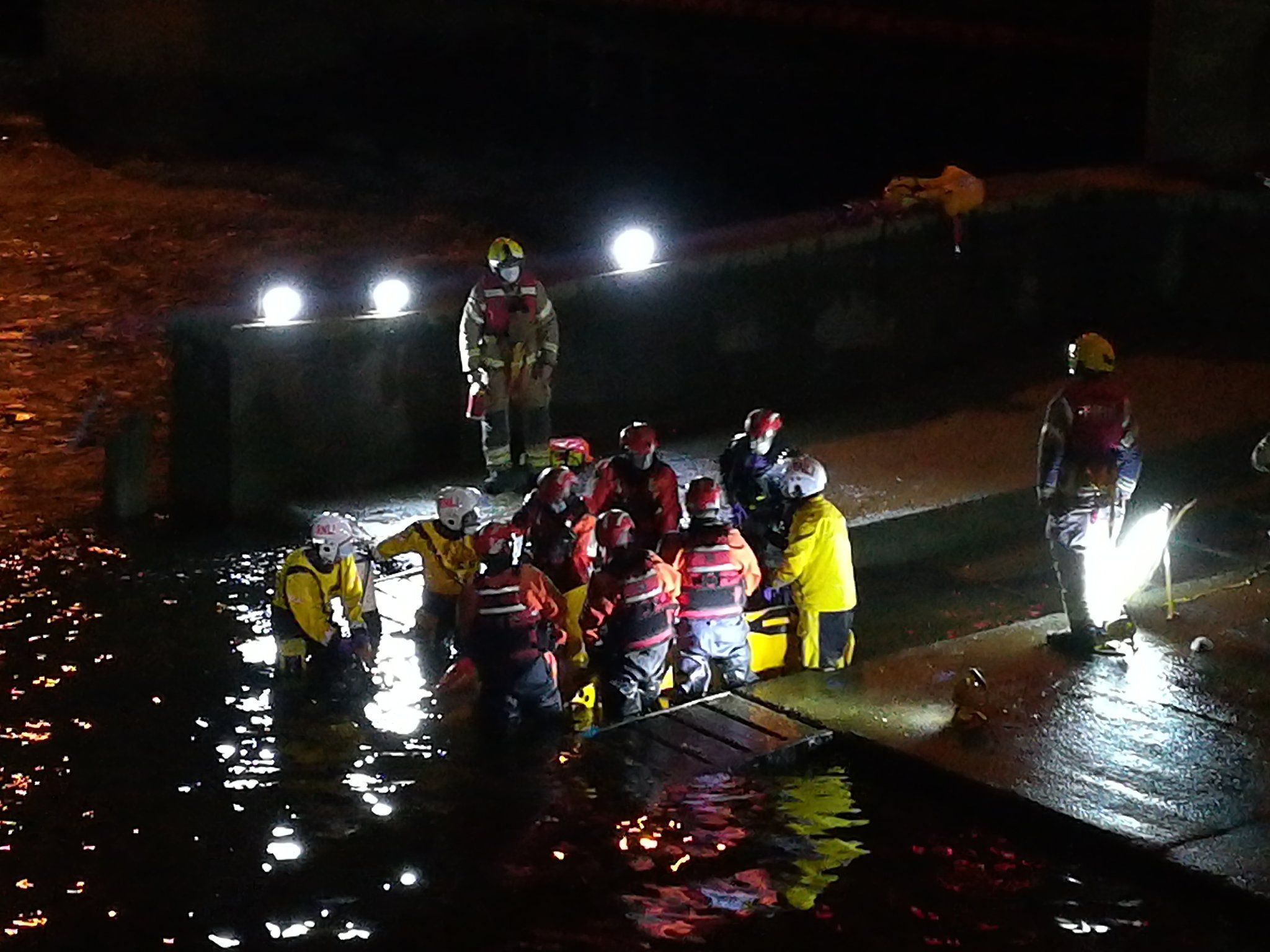 Маленький кит застряг у шлюзі Темзи - фото 1