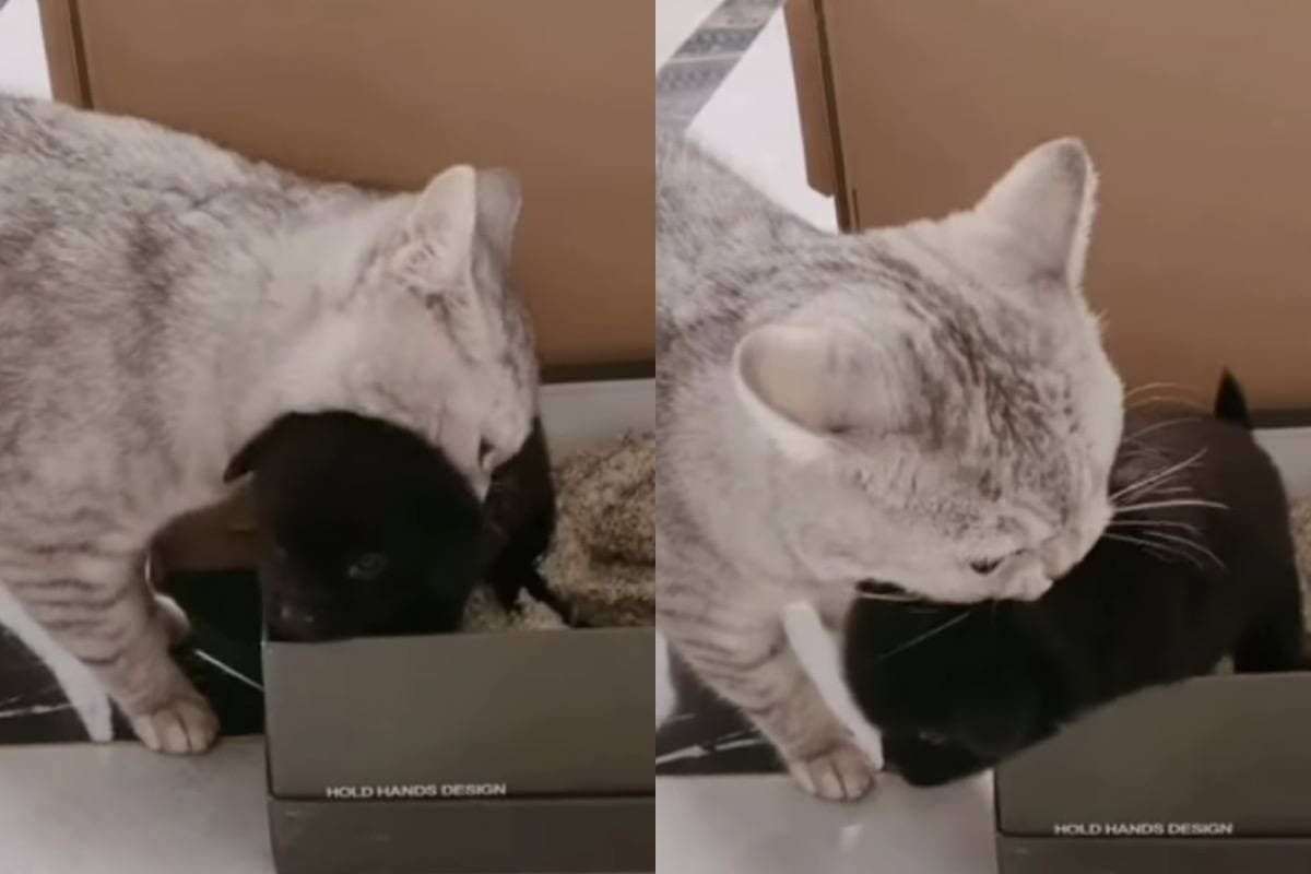 Кадр з відео - фото 1