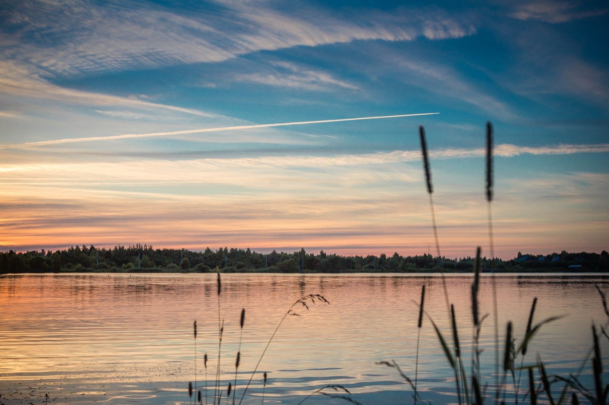 Природа - фото 1