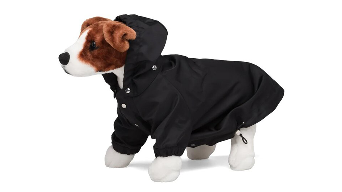 Prada випустили дощовик для собак за чималу суму: фото