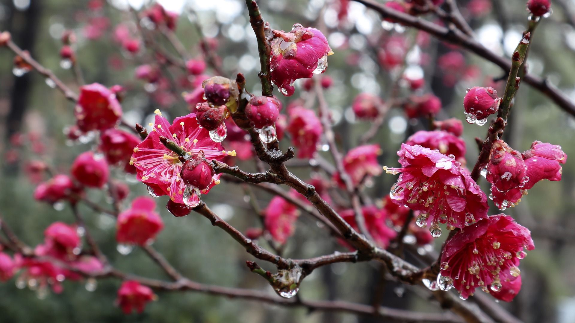 Погода в Україні 14 травня: синоптик попередила про спеку і дощі