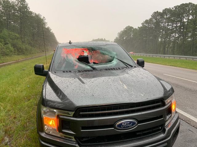 Дивіться, як виглядає Ford F-150, перед яким вдарила блискавка: шокуючі фото - фото 459352