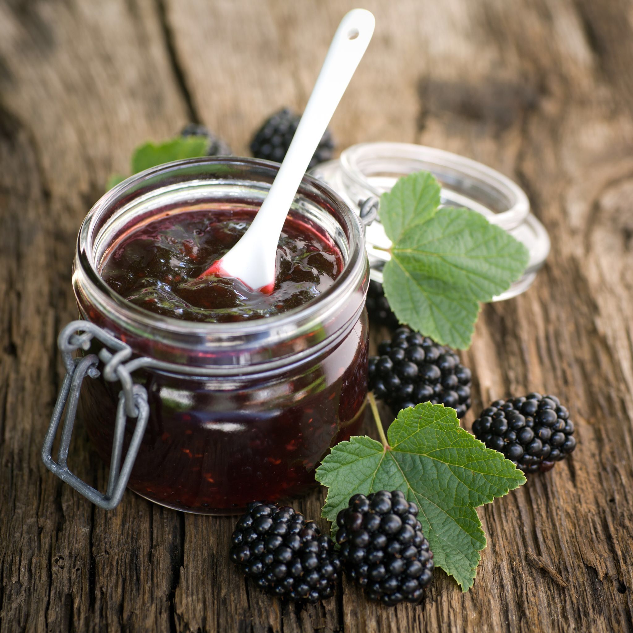 Шовковиця - фото 1