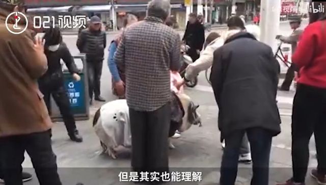 У Китаї жінка завела мініатюрну свинку, але щось пішло не так: фотофакт - фото 459514