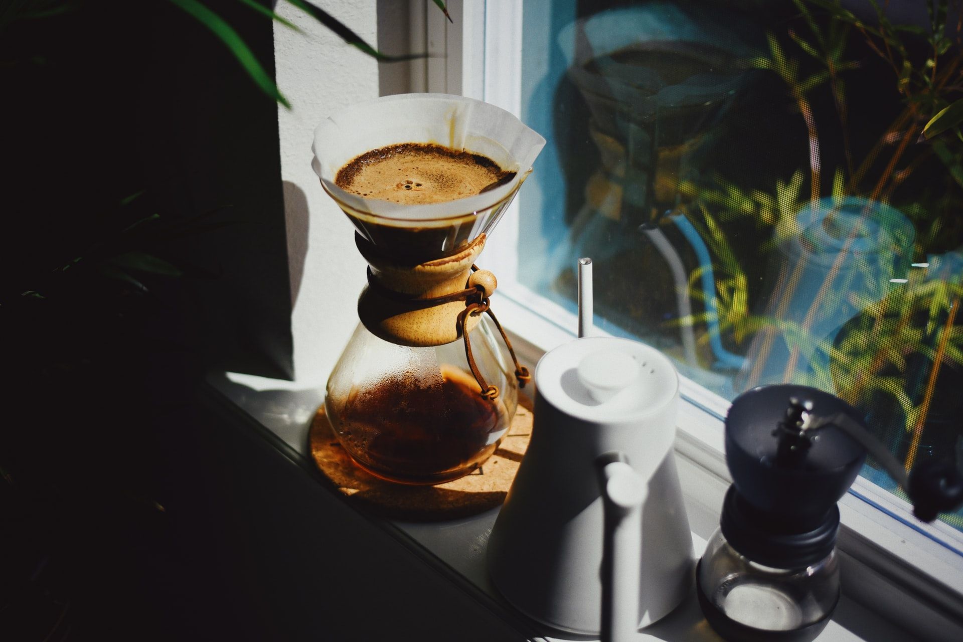 Схильність до споживання кави – генетична - фото 1