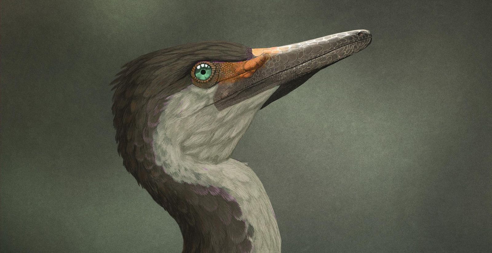 Шувуйя - фото 1