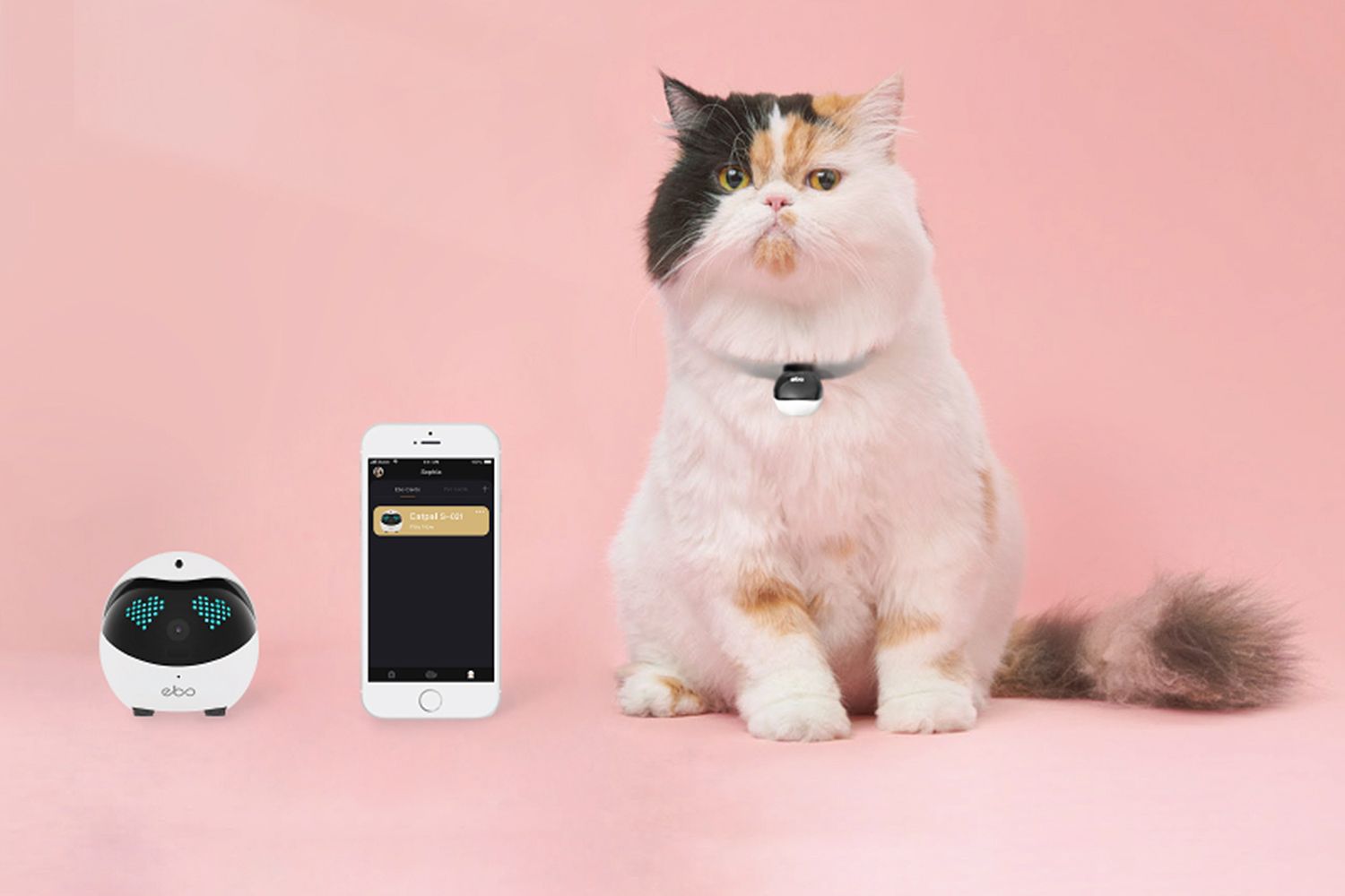 Робот EBO слідкує як за дітьми, так і домашніми улюбленцями - фото 1