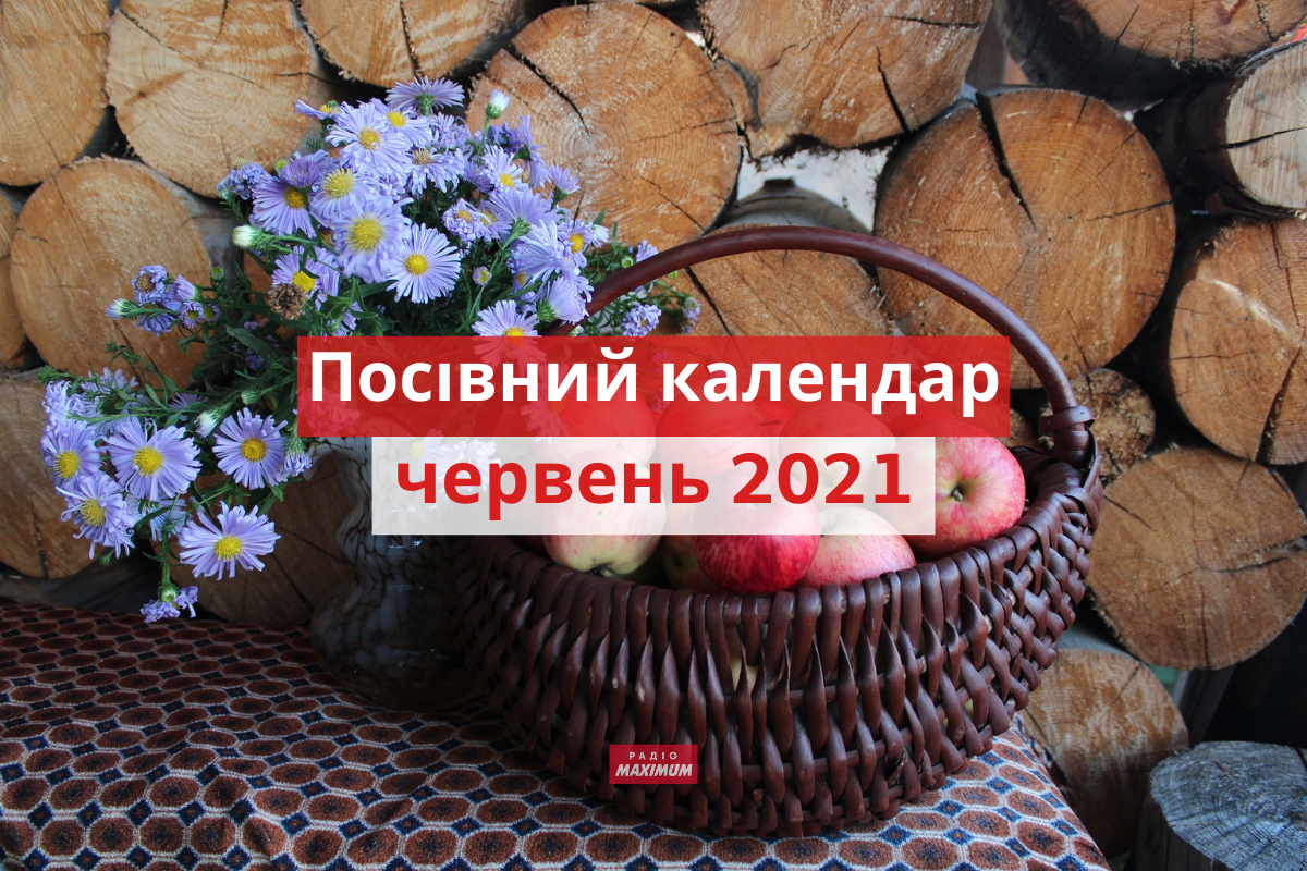 Місячний посівний календар на червень 2021: коли і що садити