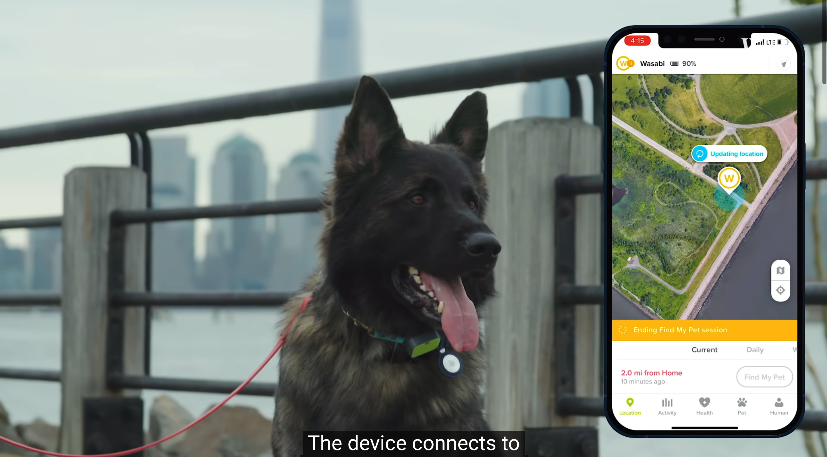 Чи зуміла собака обійти Apple AirTag - фото 1