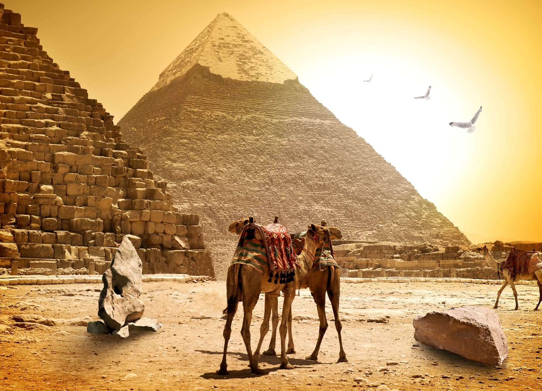 У Єгипті почали брати плату з туристів за в'їзні візи