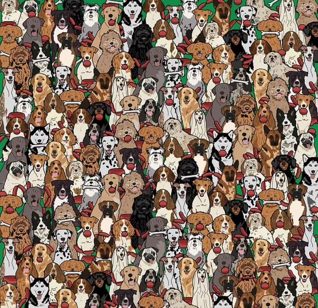 Знайдіть собаку, який вкрав сосиску: захоплива головоломка для найуважніших - фото 460416