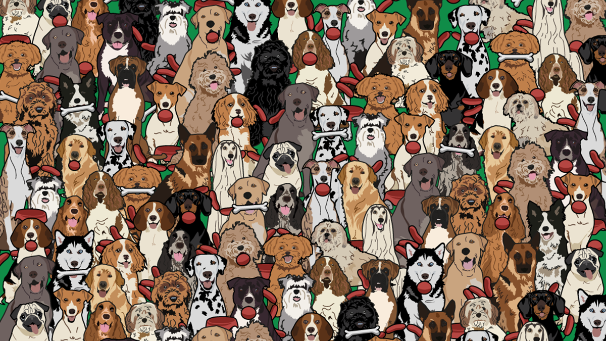 Знайдіть собаку, який вкрав сосиску: захоплива головоломка для найуважніших