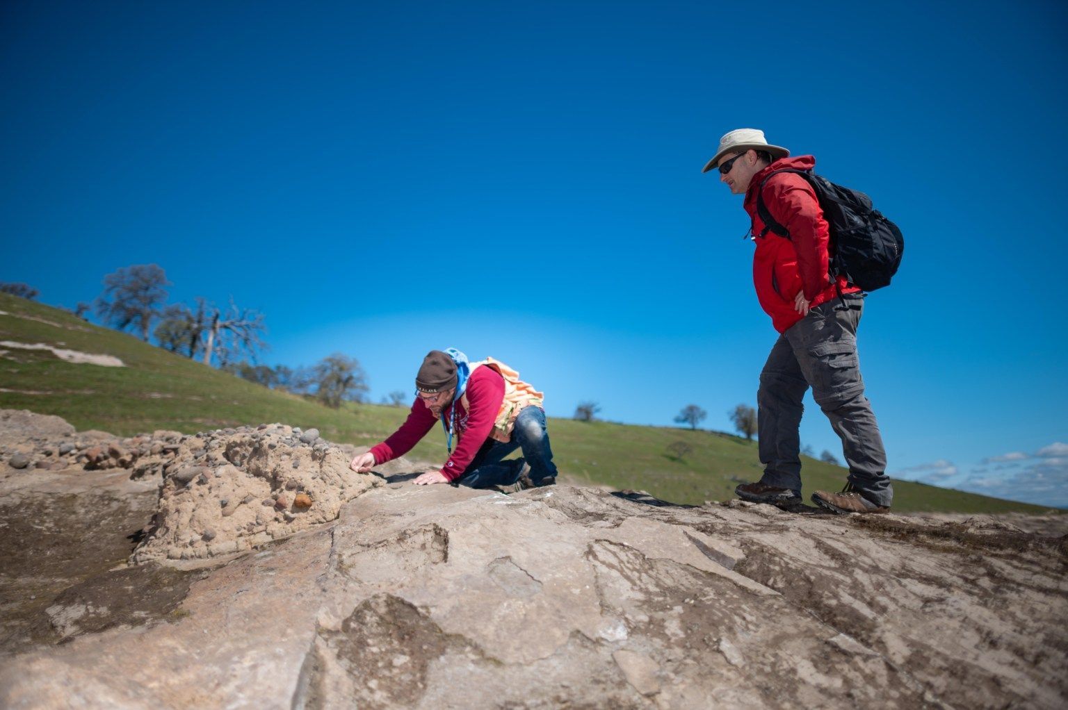 Рейнджер випадково натрапив на череп мастодонта в горах Каліфорнії