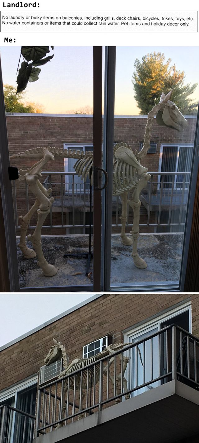 FunWithPunko - фото 460749