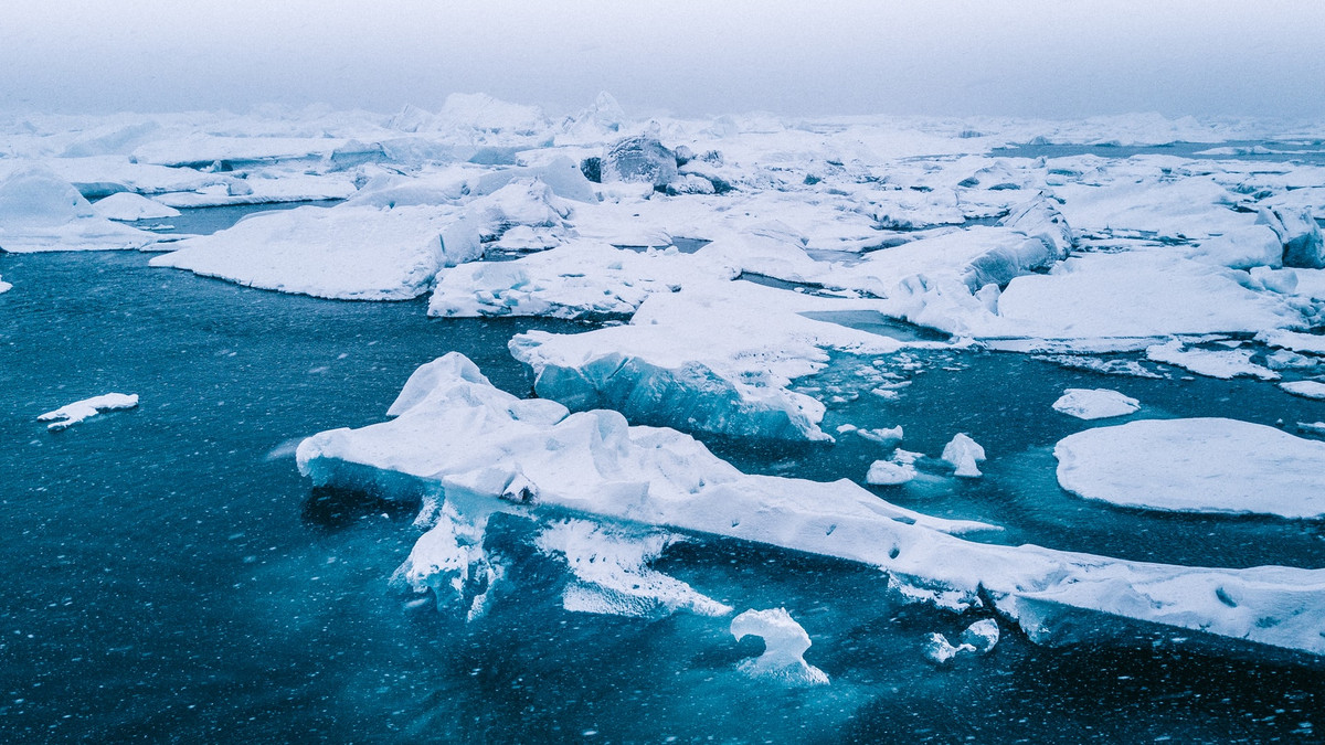 Арктика - фото 1