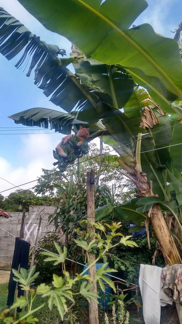 DFJonesJr - фото 461476