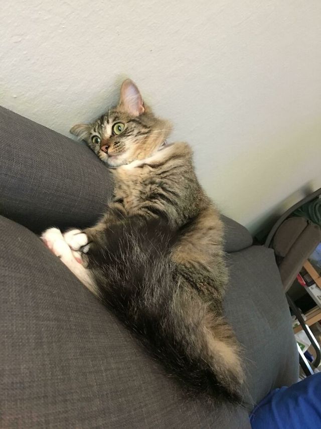 AlexTheFlower - фото 461485