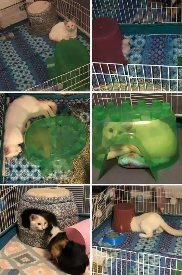 reddit.com - фото 461486