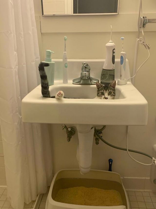 UnclassifiableHum - фото 461487