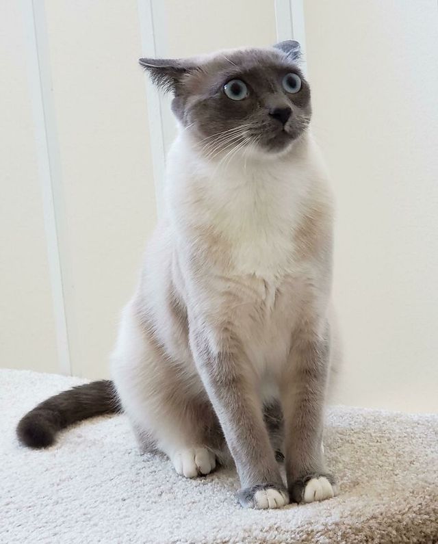 reddit.com - фото 461488