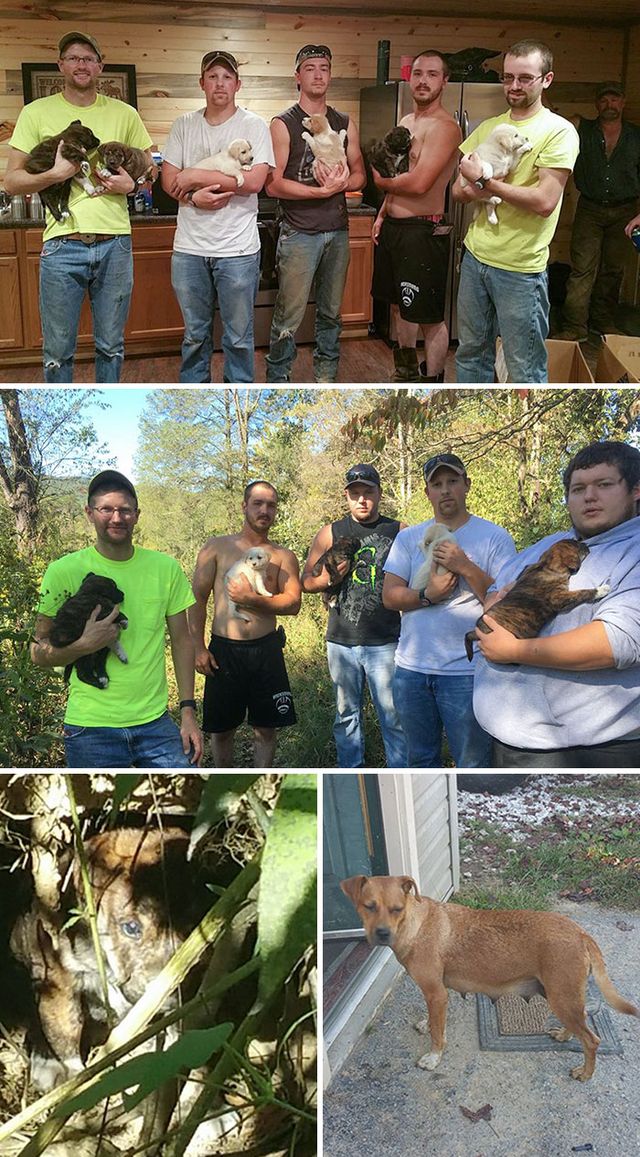 Trevor Jennings - фото 461598