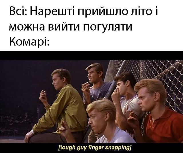Меми про літо, які змусять сміятись і плакати (фото) - фото 461718