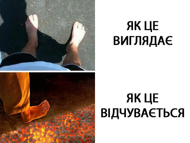 Меми про літо, які змусять сміятись і плакати (фото) - фото 461719