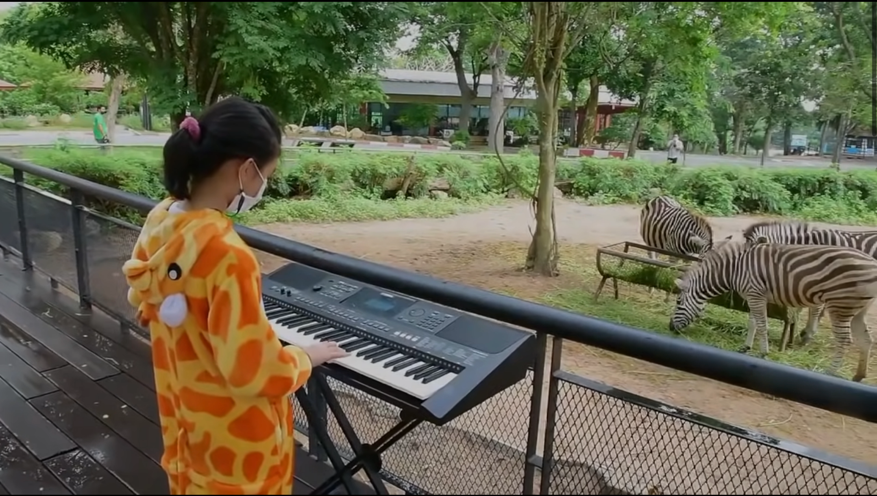 11-річна дівчинка з Таїланду влаштовує концерти у зоопарку: милі відео