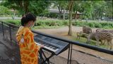 11-річна дівчинка з Таїланду влаштовує концерти у зоопарку: милі відео