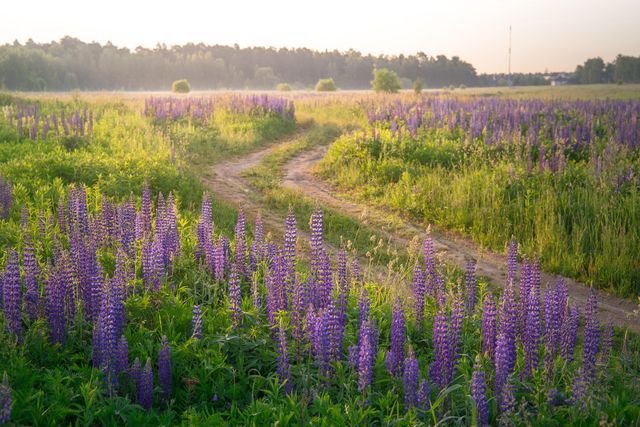2 червня 2021 – яке сьогодні свято: традиції, заборони і прикмети - фото 461792