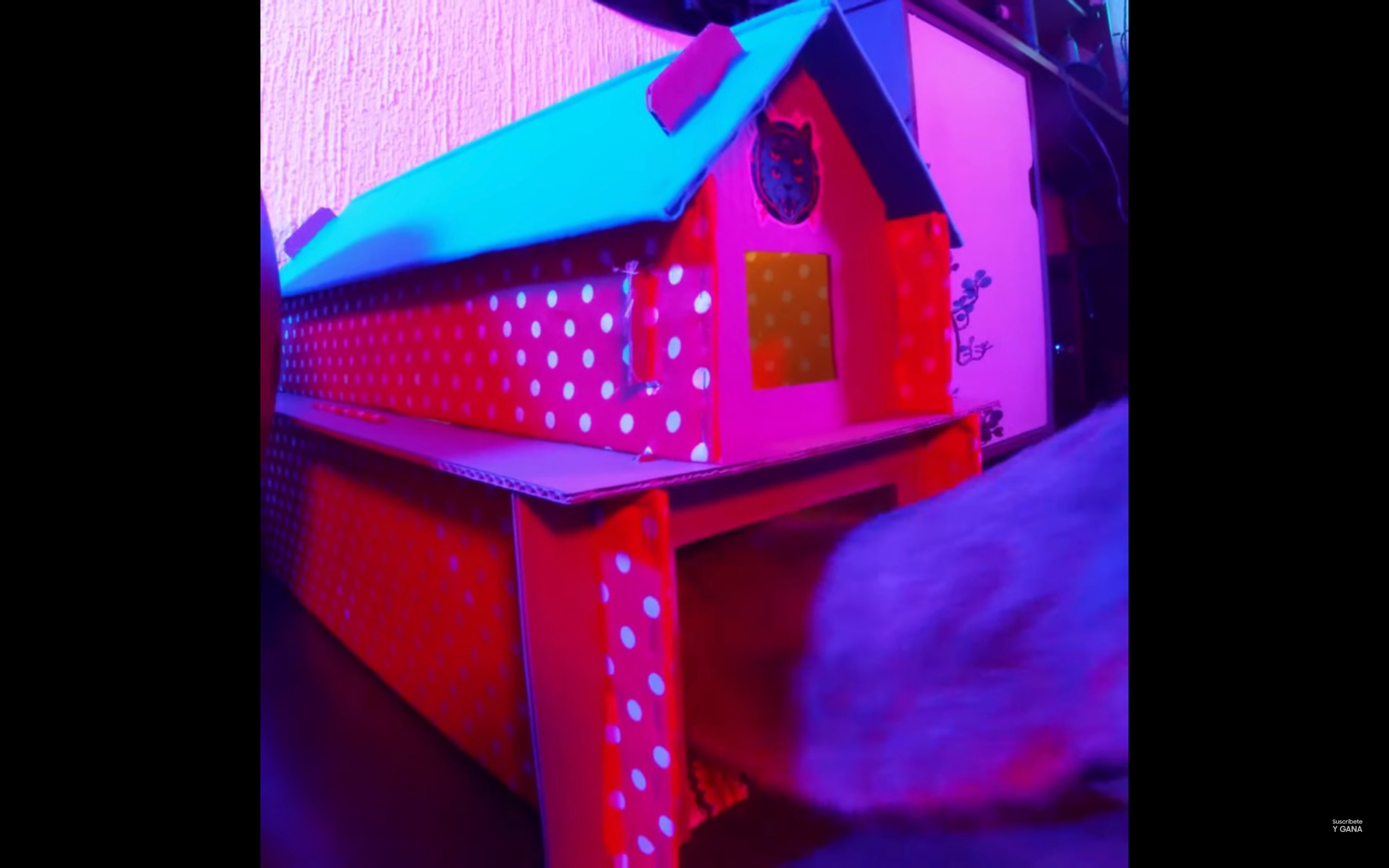 Для своєї кішки блогер побудував крутий будиночок - фото 1