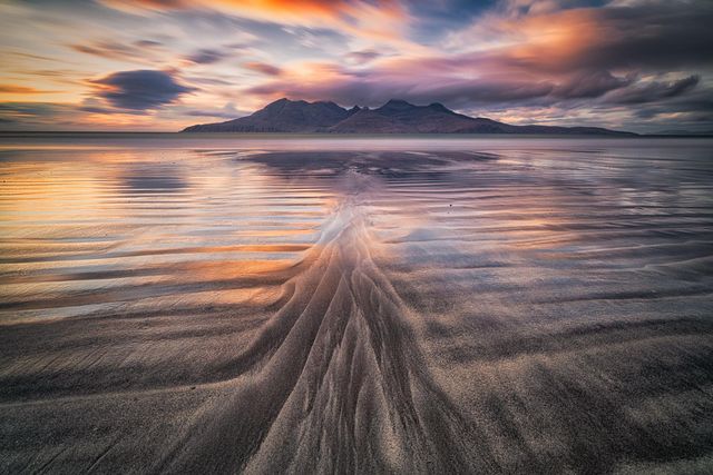 Дивіться найкращі фото дикої природи за версією журналу Nature TTL - фото 462458