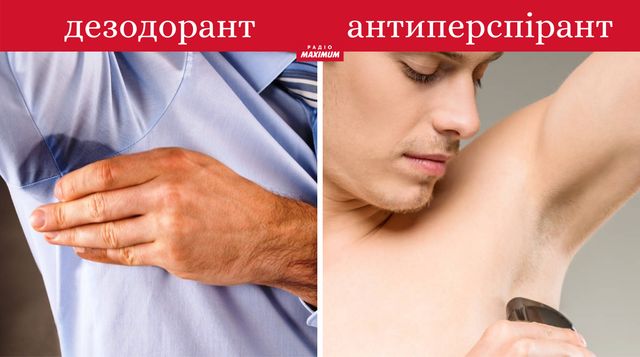 Толстовка не худі, сендвіч не бутерброд: чим відрізняють речі, які всі плутають - фото 462613