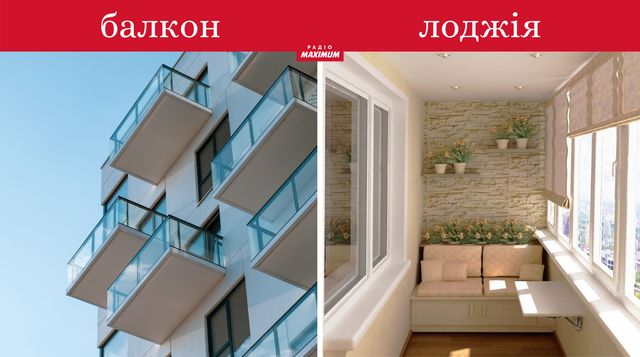 Толстовка не худі, сендвіч не бутерброд: чим відрізняють речі, які всі плутають - фото 462614