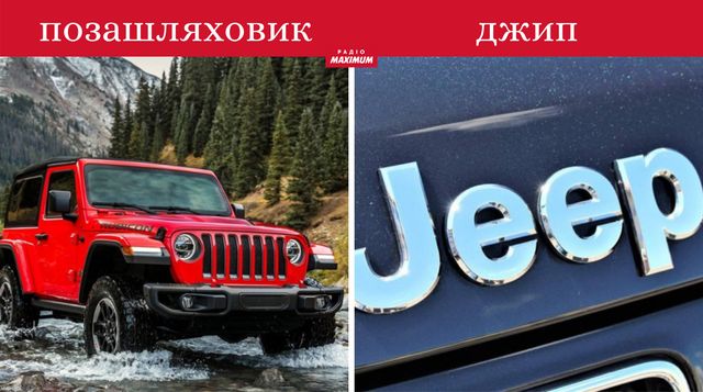 Толстовка не худі, сендвіч не бутерброд: чим відрізняють речі, які всі плутають - фото 462615