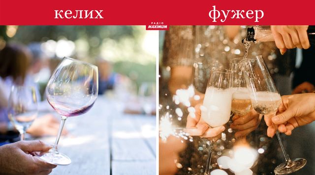 Толстовка не худі, сендвіч не бутерброд: чим відрізняють речі, які всі плутають - фото 462619