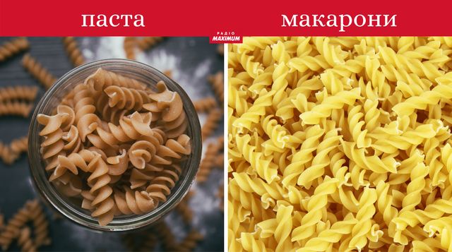 Толстовка не худі, сендвіч не бутерброд: чим відрізняють речі, які всі плутають - фото 462621