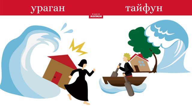 Епідемія чи пандемія, ураган чи тайфун: яка різниця між поняттями, які всі плутають - фото 462716