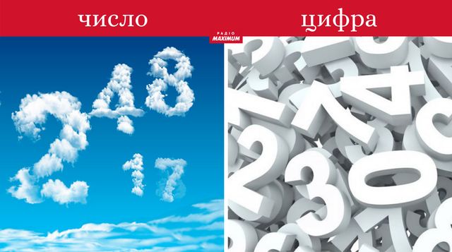 Епідемія чи пандемія, ураган чи тайфун: яка різниця між поняттями, які всі плутають - фото 462717