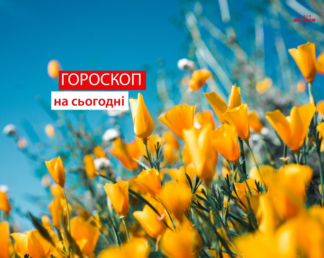 Гороскоп на 17 червня 2021: прогноз для всіх знаків Зодіаку