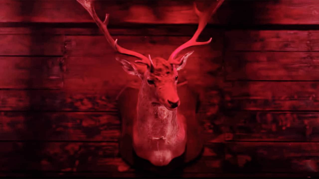 Кадр з серіалу - фото 1