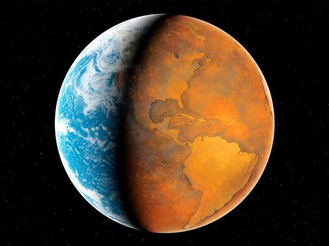 Дослідники спрогнозували, як зміна клімату повпливає на життя на Землі - фото 464244