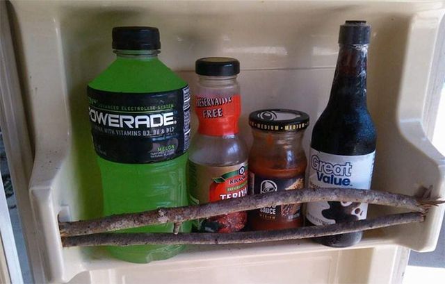 dustindee - фото 464432