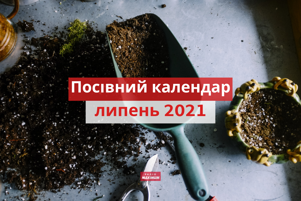 Посівний календар для городника на липень - фото 1