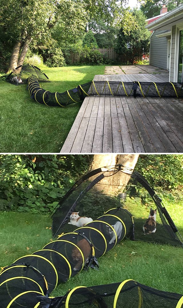 eggsterminate - фото 464759